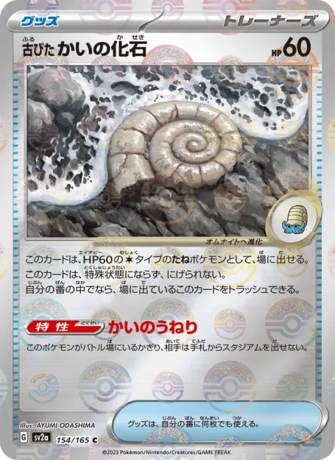 Antique Helix Fossil
